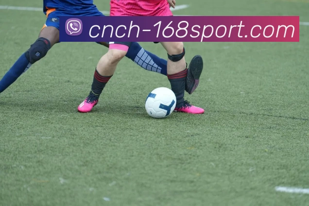 168体育官网服务体系